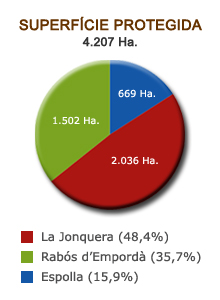 Albera
